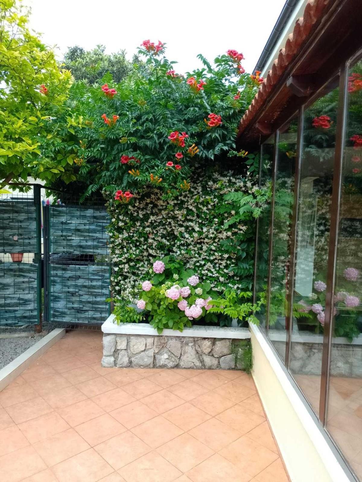 Apartment Ela, Kostrena Rijeka Dış mekan fotoğraf